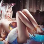 神探火狸狸 28套合集下载-[2.52GB]-死宅屋